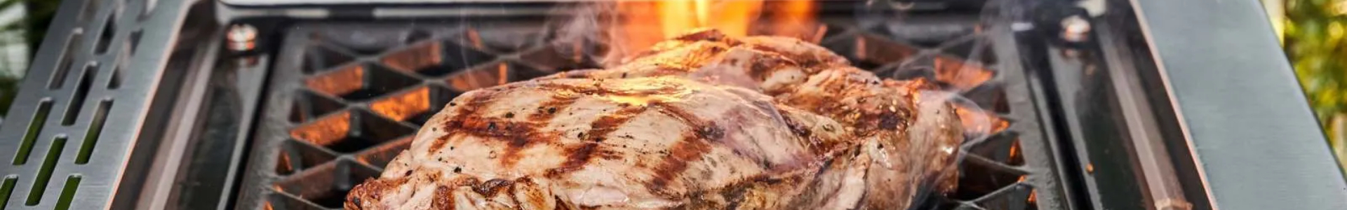 char-broil-gas-grills-v26082303